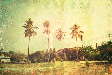 Tropical Background Palm Trees Sun Light Holiday Travel Design Toned Pastel Vintage Shabby Toned Effectの写真素材