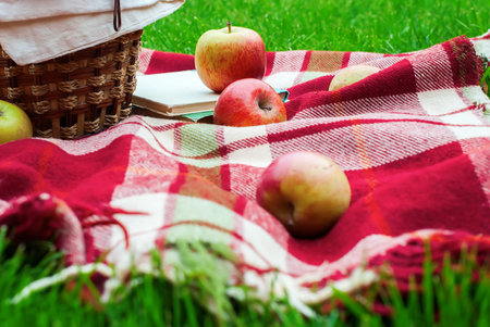 Apples Basket Fruit Checkered Plaid Picnic Green Grass Summer Time Rest Backgroundの写真素材