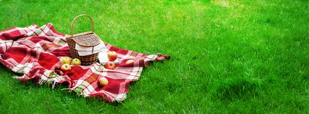Checkered Plaid Picnic Apples Basket Fruit Green Grass Summer Time Rest Background Design Web Concept Long Formatの写真素材