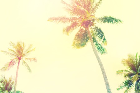 Palm Trees Jungle Blue Sky Toned Shabby Effect Nature Landscape Tropical Background Holiday Travel Design Viewの写真素材