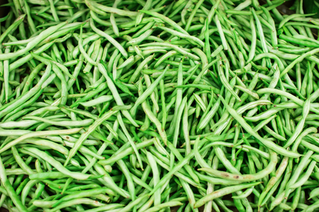 Guar tropical cluster bean vegetable natural backgroun texture on laid out marketの写真素材