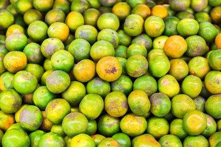 tangerine tropical citrus fruit natural backgroun texture on laid out marketの写真素材