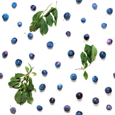Seamless Natural Texture Blue Organic Damascenes with Green Leaves Isolated on White Healthy Summer Conceptの写真素材