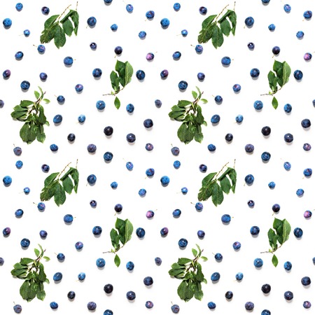 Seamless Natural Texture Blue Organic Damascenes with Green Leaves Isolated on White Healthy Summer Conceptの写真素材