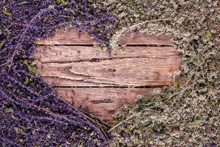 Care Heart Concept Violet Sage Flowers Green Mint Leaves Alternative Medicinal Herbs Wooden Background Vintage Rural Country Styleの写真素材