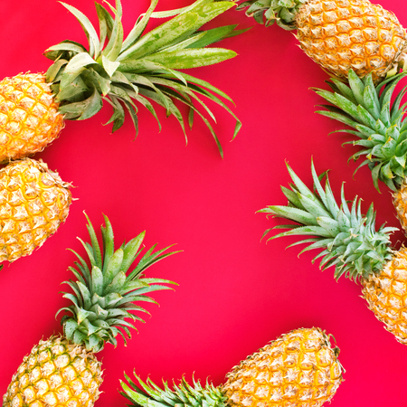 Pine Apple Whole Tropical Fruits with Leaves Useful Natural Organic Food Style Top View Flat Lay Group Objects Red Backgroundの写真素材