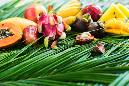 Different Tropical Fruits Raw Eating Diet Concept Food Green Palm Leaves Background High Resolution Square Copy Spaceの写真素材