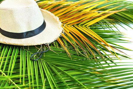 Straw Hat Tropical Palm Leaves Yellow Background Flat Lay Top View Banner Vacation Accessoryの写真素材