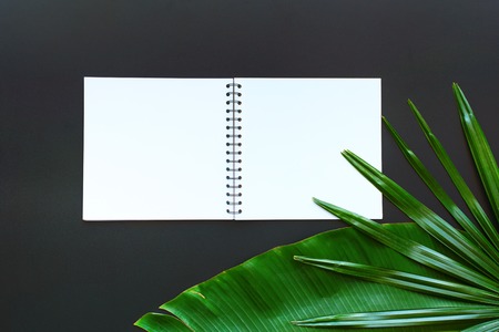 Tropical Palm Leaf Notebook Isolated White Paper Notebook Black Background Flat Lay Top View Travel Planning Conceptの写真素材