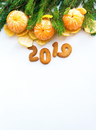 2019 cookies figures of Christmas new year Tangerines and green fir tree branches on an isolated whiteの写真素材