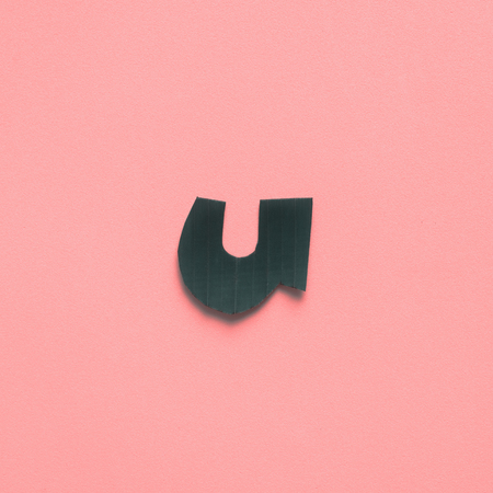 U  letter green tropical palm leaf alphabet on pinkの写真素材