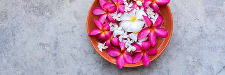 Pink white frangipani or plumeria flower petals in plate. Spring floral romantic. Design elements fot Asian Songkran festival or SPA theme. Top view Bannerの写真素材