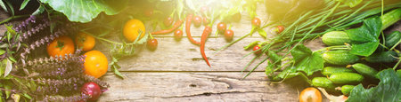 Assortment farm raw fresh organic vegetables in line with sun light on wooden rural background....