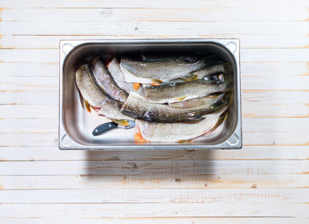Crude fresh pike without scales in metal container on white wooden country background. Ready to...