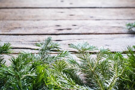 Holiday banner Green Christmas natural fir spruce branches on white wooden planks. Vintage background Happy New Year greeting card Winter Xmas theme Copy Space for Textの写真素材