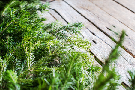 Holiday banner Green Christmas natural fir spruce branches on white wooden planks. Vintage...