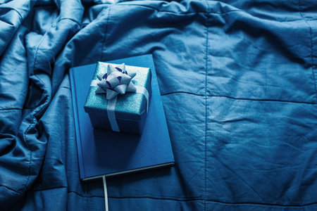 Blue present boxes daily log and pencil on blue plaid. Trend colors of the year 2020. Home interior detail. Planning of bussinesの写真素材