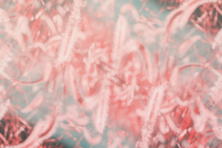 Abstract natural geometrical symmetry background. Pattern from grass. Toned in pink pastel color....