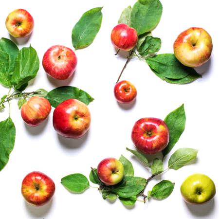 Natural Texture Organic Apple with Green Leaves Isolated on White Healthy Summer Concept Top Viewの写真素材