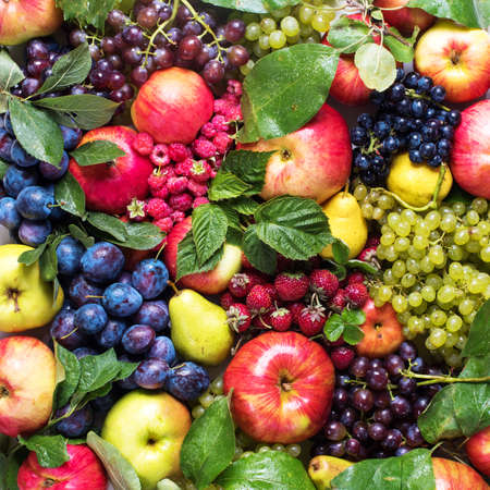 Assortment Colorful Texture Fruits Berries Apple Grape Strawberry Pear Damascene Local Organic Market Background Health Care Natural Concept Top Viewの写真素材