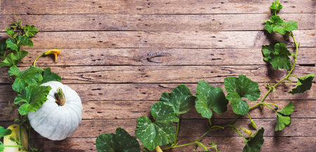 Autumn Background with Natural Organic Pumpkin Green Leaves Branch Wooden Country Background Rustic Style Copy Spaceの写真素材