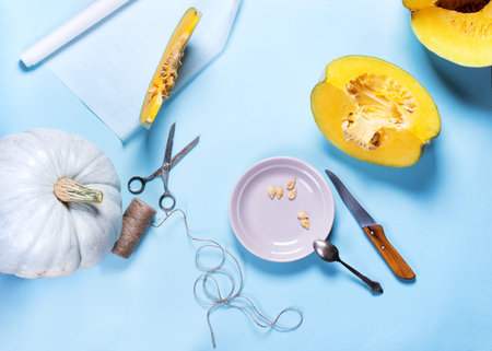 Collecting Seed Autumn Vegetable Pumpkin Handwork Harvest Blue Background Flat Lay Top Viewの写真素材
