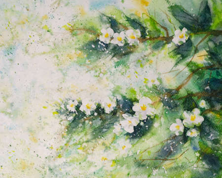 A branch of blooming jasmine painted in watercolorの写真素材