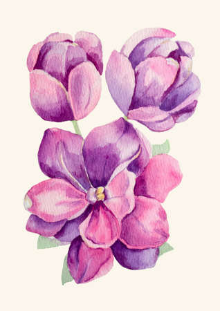 Lilac flowers close-up painted with watercolorのイラスト素材