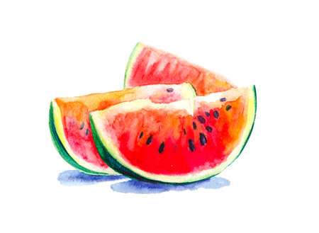 Painted watermelon slices in watercolor on a white backgroundの写真素材