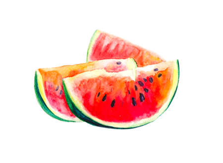 Painted watermelon slices in watercolor on a white backgroundの写真素材
