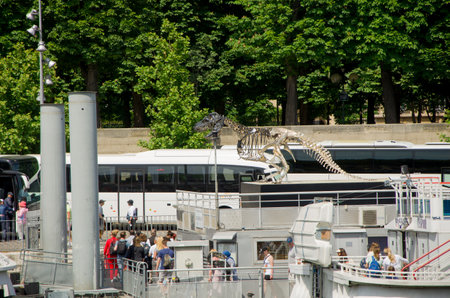 Tourists visit the skeleton of a horse in Paris.の写真素材