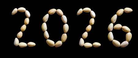 New Year2026 made of pine nuts isolated on black background. Numbers from pine nuts