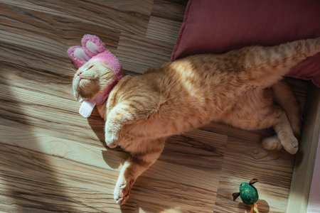Easter domestic funny cat in a hat with rabbit ears, peach-colored British breed, plays on a pillow with a toyの写真素材
