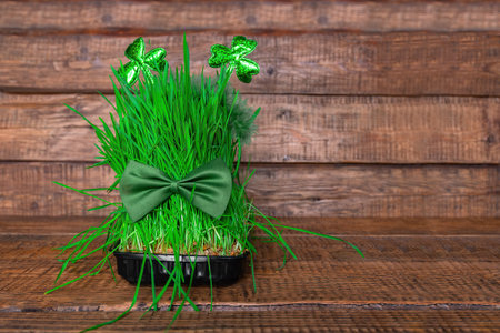 Green sprouted grass at home with symbols of St. Patricks holiday on a wooden background