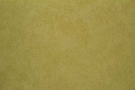 light green painted wall backgroundの写真素材