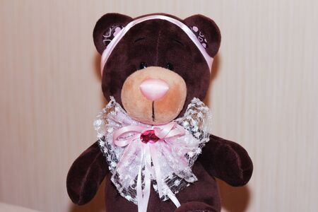 soft toy bear dark brown on a light backgroundの写真素材
