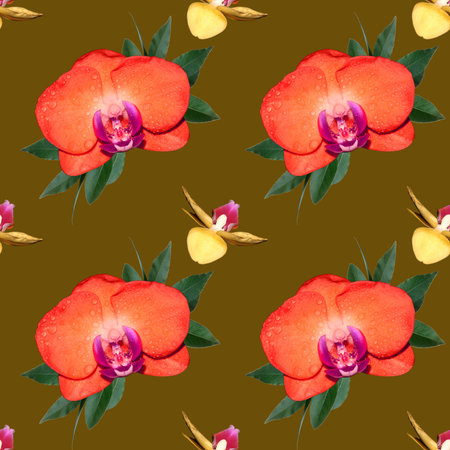 The flowers on the background. Seamless pattern with orange and yellow Orchid flowers.の写真素材