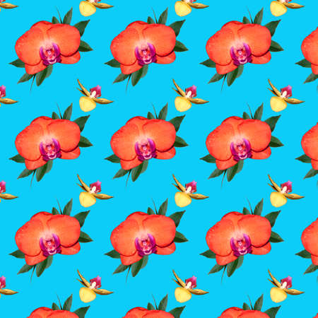 Seamless pattern with orange Orchid flowers on a soft blue background.の写真素材