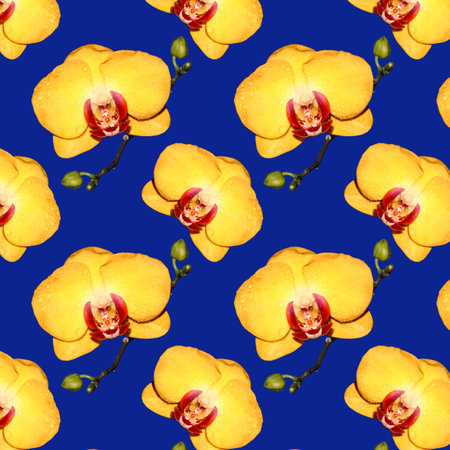 Seamless pattern of yellow Orchid flowers with closed buds. Flowers on a blue background.の写真素材