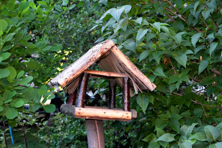 Homemade bird feeder in the spring garden.の写真素材