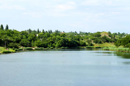 Landscape by the lake. Spring pond. Plants near water.の写真素材