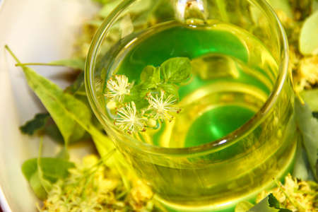 A Cup of lime tea with mint and lime flowers.の写真素材