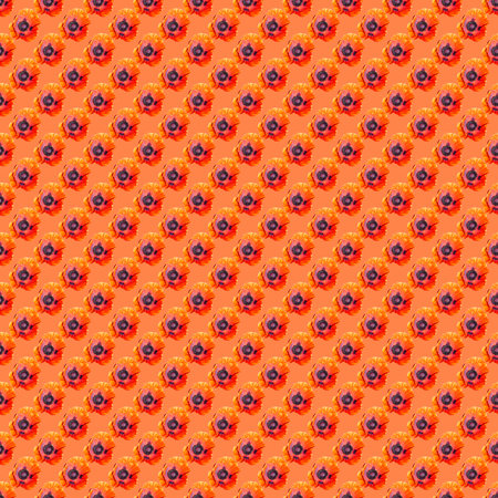 A blossoming Bud of a red poppy. Flower pattern. Background of flowers. Red poppy on an orange...