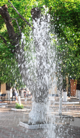 Drops of the fountain. Fountain against the background of trees.の写真素材