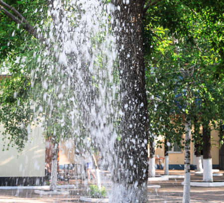Drops of the fountain. Fountain against the background of trees.の写真素材