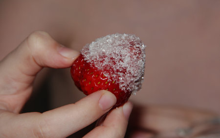 Strawberries in sugar in a child's hand. Juicy berry in sugar.の写真素材