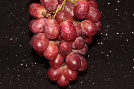 Clusters of grapes on a black shiny background.の写真素材