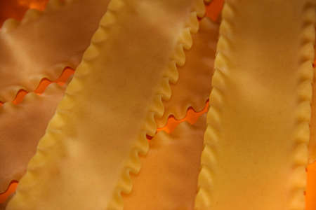 Macaroni on an orange background. The frame is bright. Flour products. The lasagna sheets.の写真素材