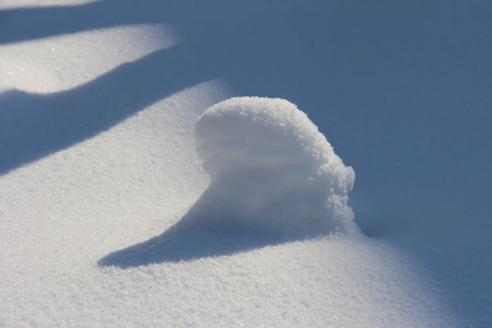 Snow-covered stump. Winter snow at the end of February.