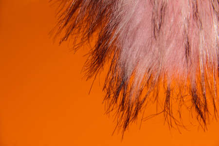 Artificial pink fur on an orange background.の写真素材